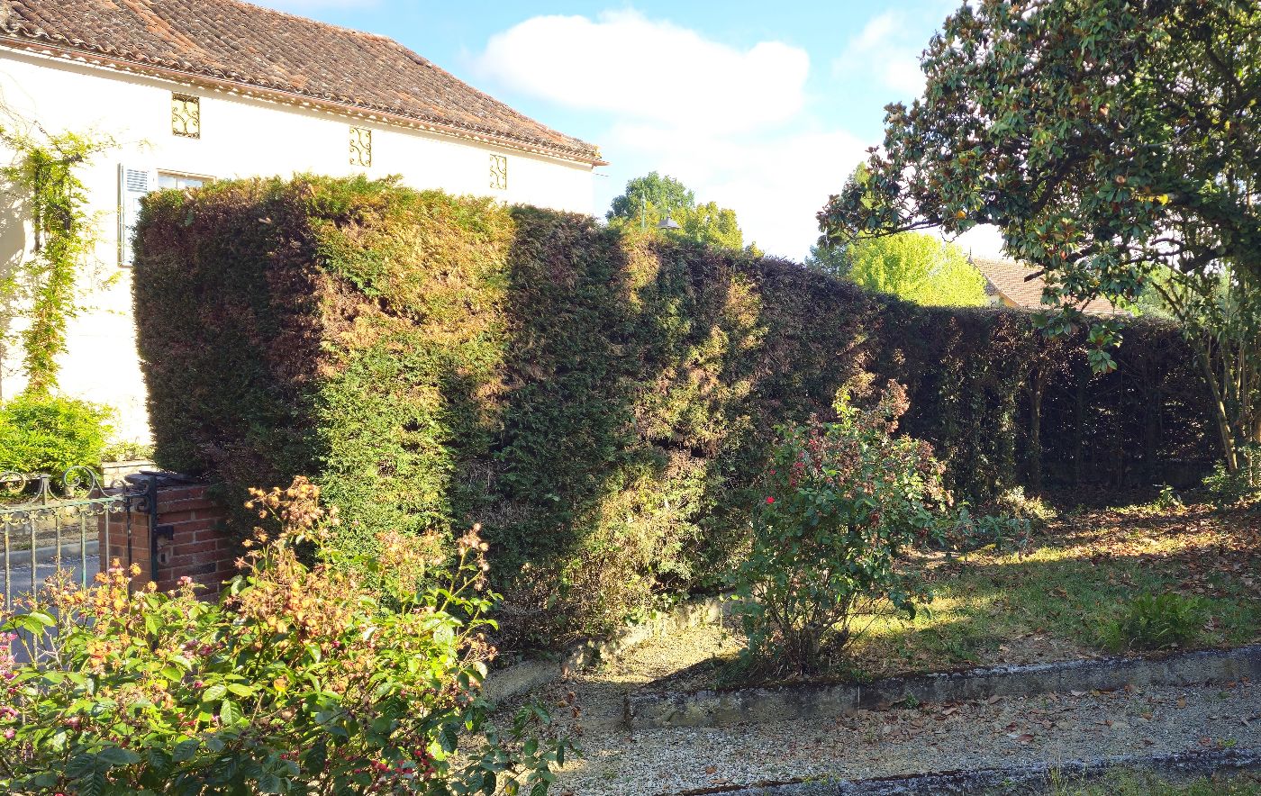Après intervention de Entre Deux Feuilles